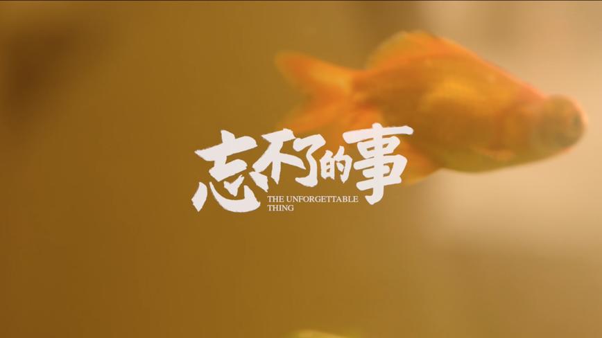 大众宝来-熊猫 《忘不了的事》